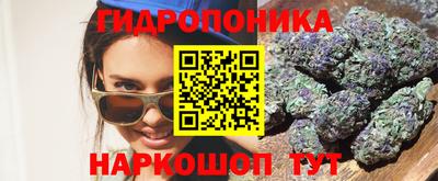 дживик Новозыбков