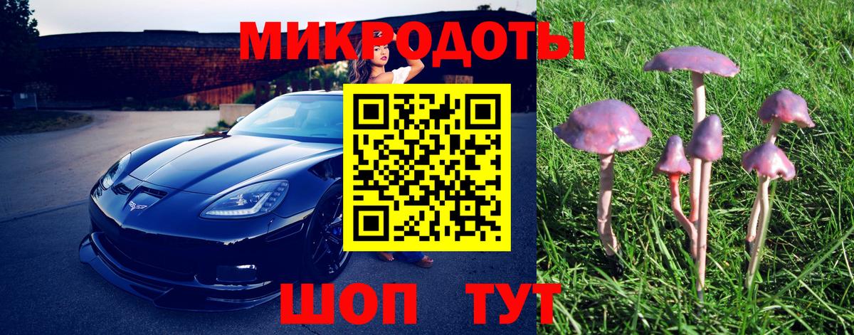 Псилоцибиновые грибы MAGIC MUSHROOMS Троицк